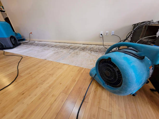 Professional Sewage Cleanup technician working in Valencia, NM
